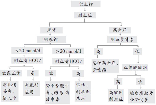经典病例_反复胸闷、心悸2年，加重伴四肢乏力3天_医脉通