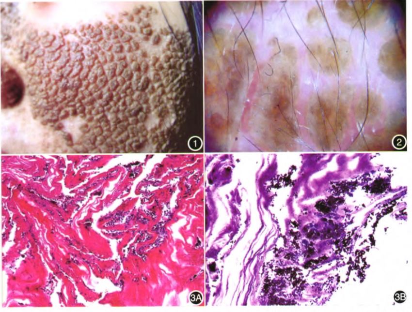 高清性爱视频囹al#+