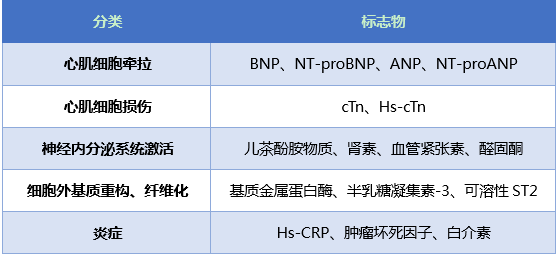 表7 心衰标志物分类