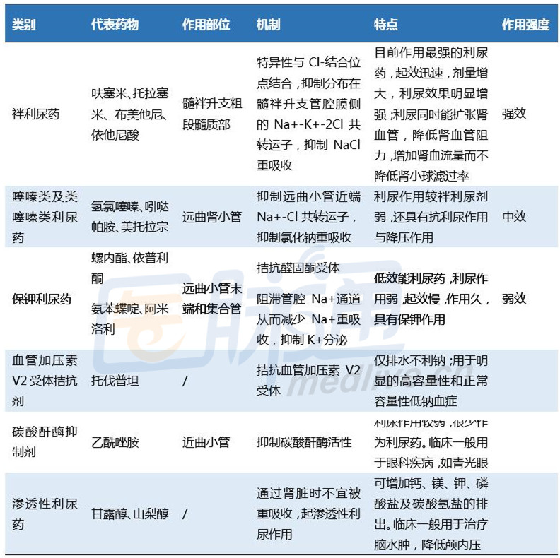 表1 利尿剂的分类及特点