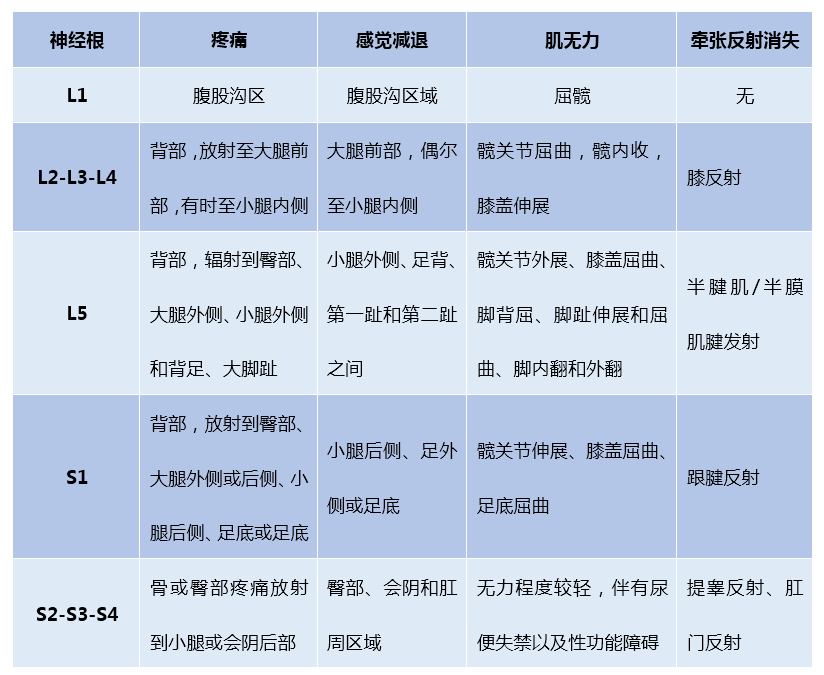 图3描述了腰椎病变位置与受压神经的位置特点以及相关定位与临床病变