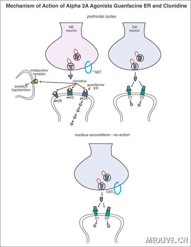 病例报告:可乐定应用相关的幻触