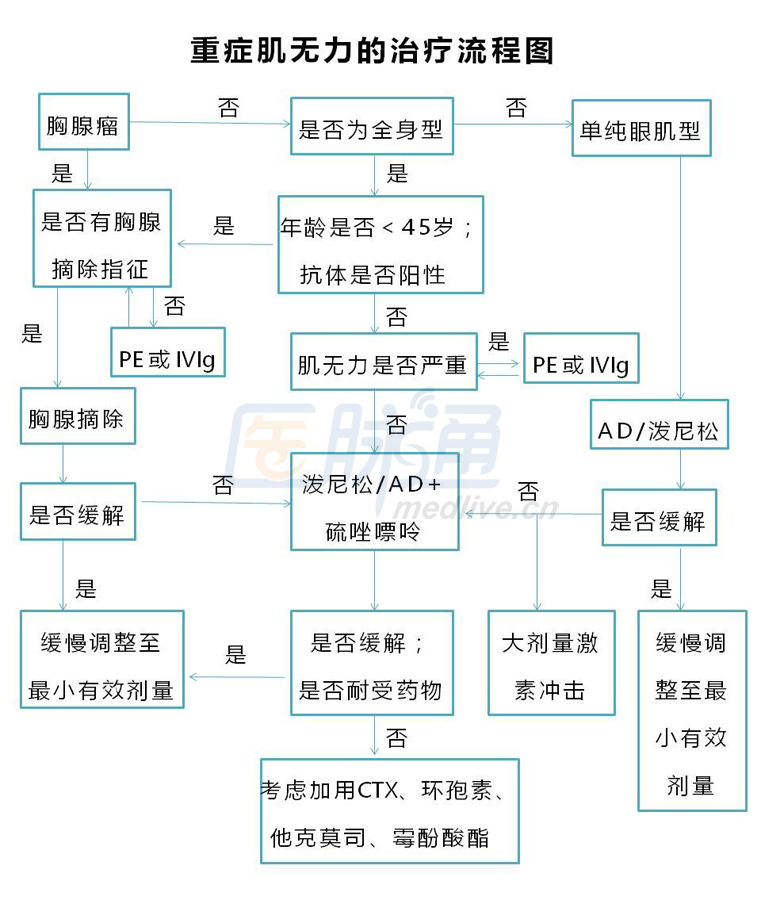 重症肌无力的诊断流程 [4]