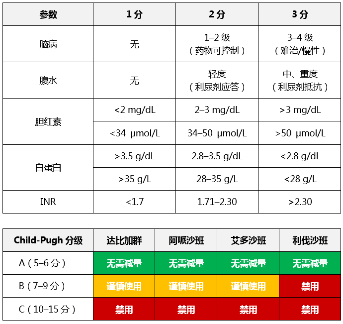 child肝功能分级表格图片